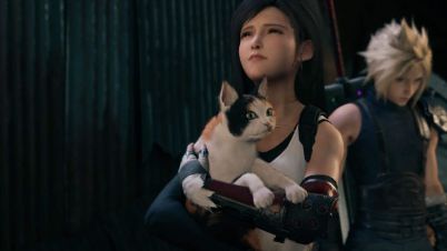 Nobody knows this wedge's cat reunites with Tifa and will return to the planet.